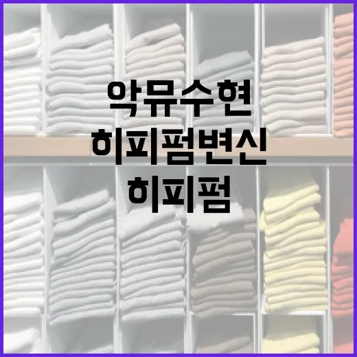 악뮤 수현처럼 히피펌 변신하는 방법 - 요약