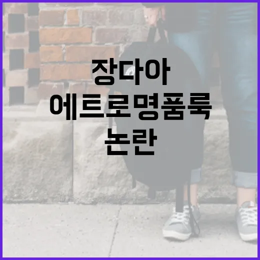 장다아의 에트로 명품룩 논란을 이해하는 방법 - 요약
