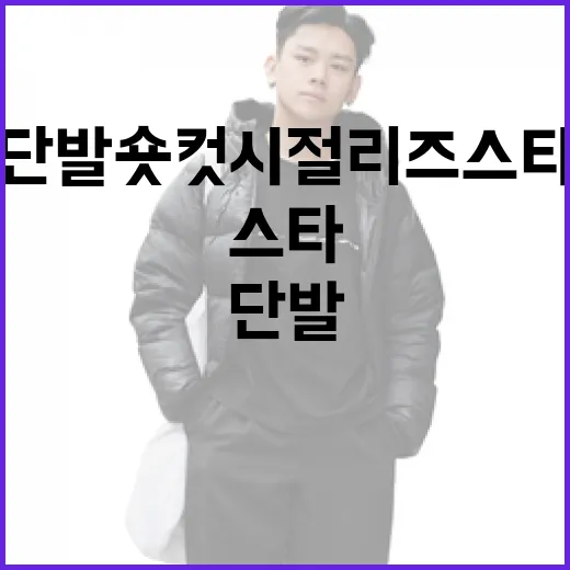 단발 숏컷 시절 리즈 스타를 따라하는 방법 - 요약