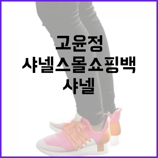 고윤정이 추천하는 샤넬 스몰 쇼핑백 활용 방법 - 요약