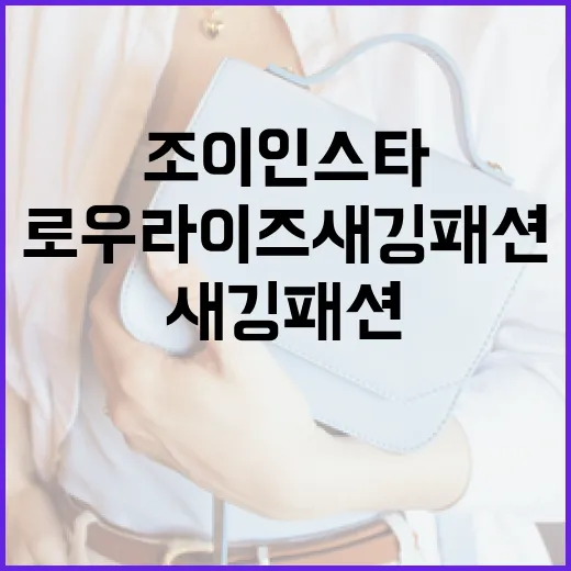 조이 인스타에서 로우라이즈 새깅패션 따라하기 - 요약