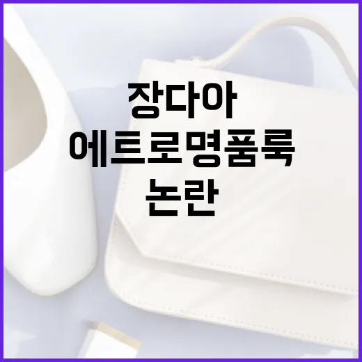 장다아의 에트로 명품룩 논란을 이해하는 방법 - 요약
