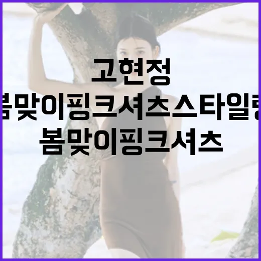 고현정처럼 봄맞이 핑크 셔츠 스타일링하는 방법 - 요약