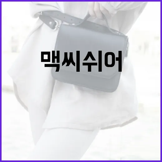 맥 씨쉬어를 사용하는 방법과 팁 - 요약