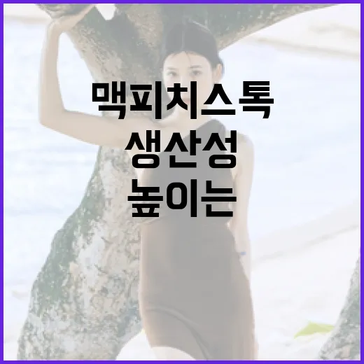 맥 피치스톡을 활용하여 생산성 높이는 방법 - 요약