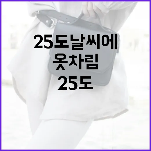 25도 날씨에 적합한 옷차림을 선택하는 방법 - 요약