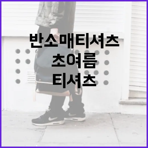 초여름을 준비하는 반소매 티셔츠 스타일링 방법 - 요약