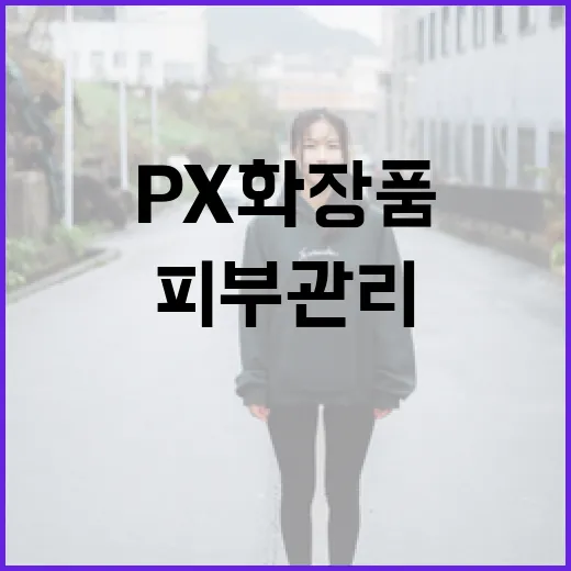 px 화장품을 활용하여 피부 관리하는 방법 - 요약
