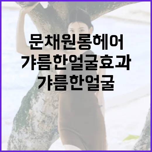 문채원 롱헤어로 갸름한 얼굴 효과 주는 방법 - 요약