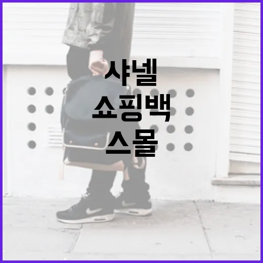 고윤정 샤넬 스몰 쇼핑백 완벽 활용법 - 요약
