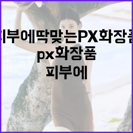 피부에 딱 맞는 px 화장품 선택하는 방법 - 요약