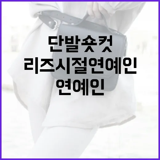 단발 숏컷으로 리즈 시절 연예인 되려면 이렇게 - 요약
