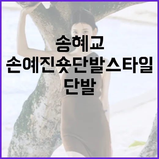 송혜교·손예진 숏단발 스타일로 변신하는 방법 - 요약