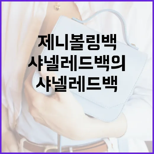 제니 볼링백과 샤넬 레드백의 매력 알아보기 - 요약