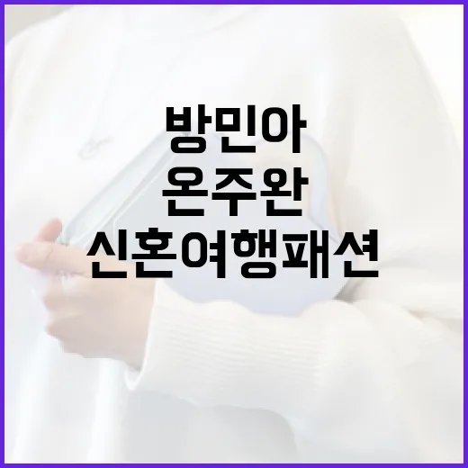 방민아와 온주완의 일본 신혼여행 패션 따라하기 - 요약