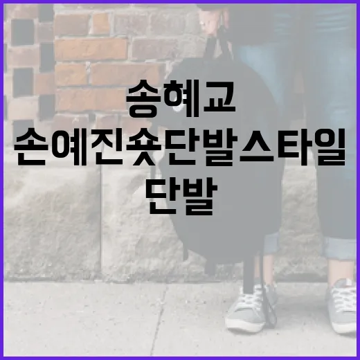 송혜교·손예진 숏단발 스타일로 변신하는 방법 - 요약
