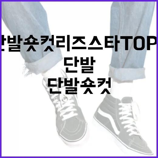 단발 숏컷 리즈 스타 TOP3를 따라하는 방법 - 요약