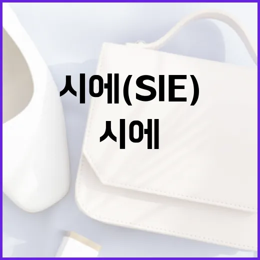시에를 이해하는 방법: 시에(SIE)의 개념과 활용법 - 요약