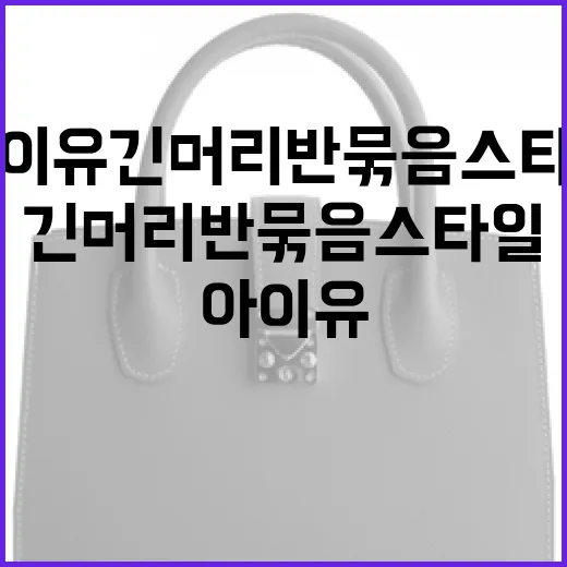 아이유 긴머리 반묶음 스타일 연출하는 방법 - 요약