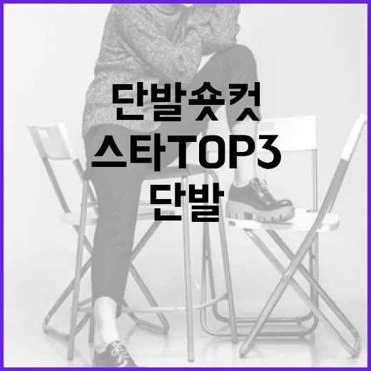 스타일리시한 단발 숏컷을 원하는 스타 TOP3 알아보기 - 요약