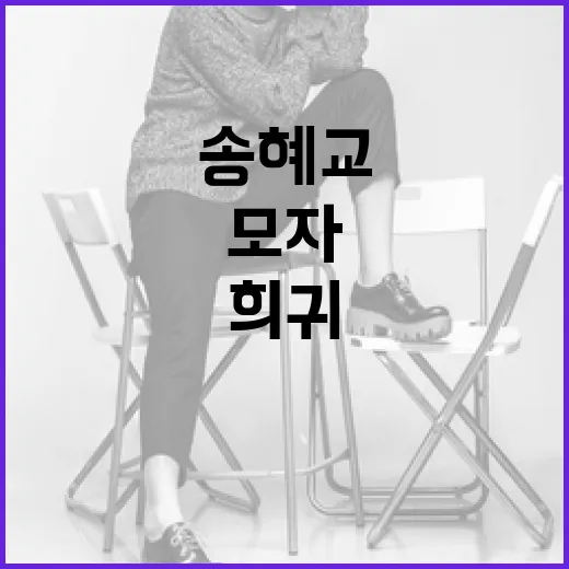 송혜교의 희귀 모자, 그 정체를 밝혀내는 방법 - 요약