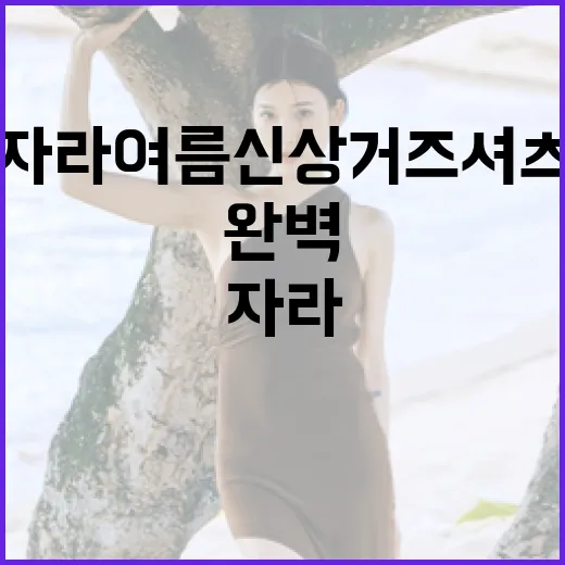 자라 여름 신상 거즈 셔츠를 완벽하게 즐기는 방법 - 요약