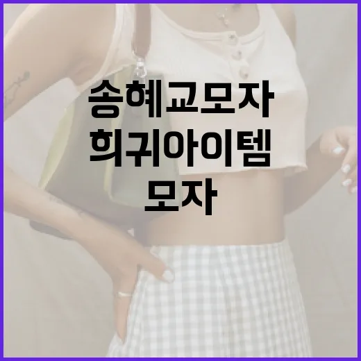송혜교 모자: 희귀 아이템을 소장하는 방법 - 요약