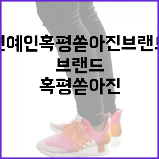 연예인 혹평 쏟아진 브랜드를 재기하는 방법 - 요약