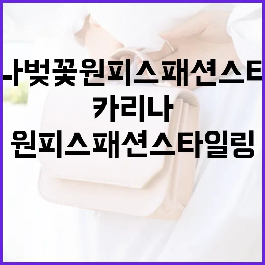 카리나 벚꽃 원피스 패션 스타일링 하는 방법 - 요약
