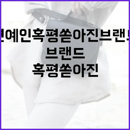 연예인 혹평 쏟아진 브랜드에 대처하는 방법 - 요약