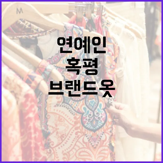 연예인 혹평을 받은 브랜드 옷, 어떻게 대처해야 할까요? - 요약