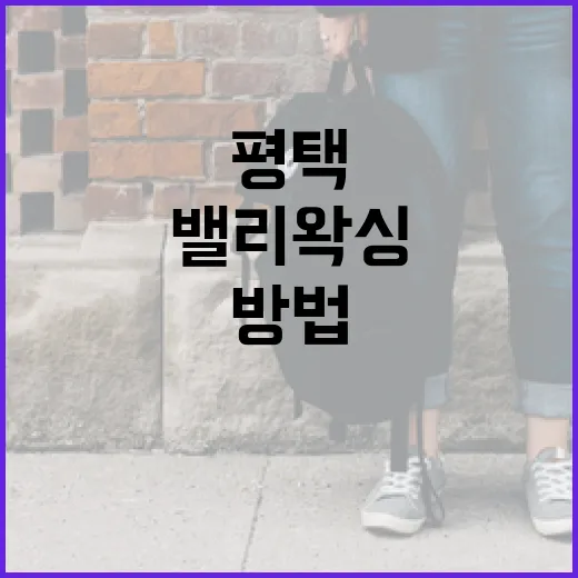 평택에서 밸리왁싱을 경험하는 방법 - 요약