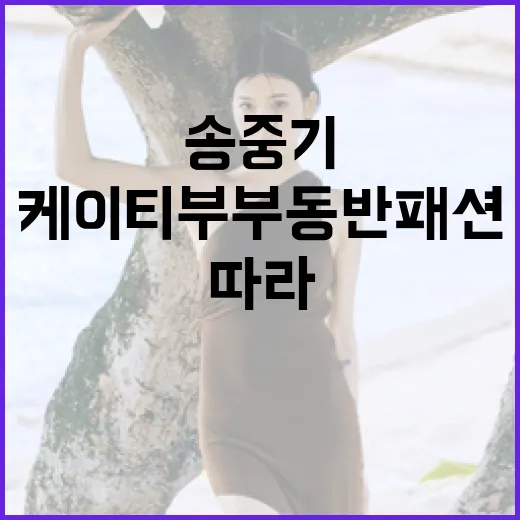 송중기와 케이티 부부동반 패션 따라하는 방법 - 요약