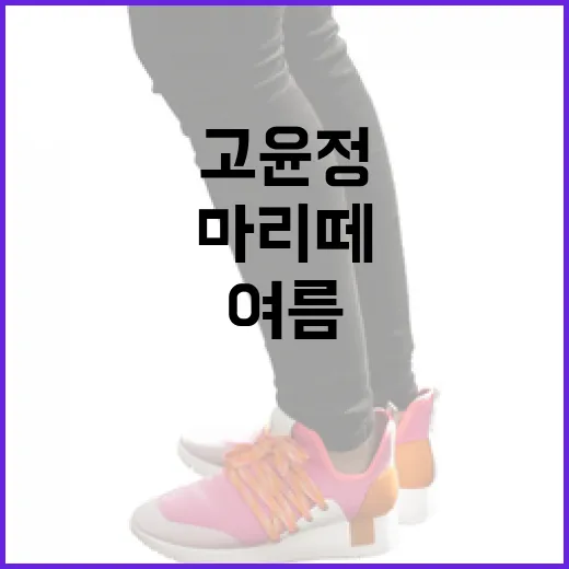 고윤정처럼 마리떼로 여름을 스타일링하는 방법 - 요약