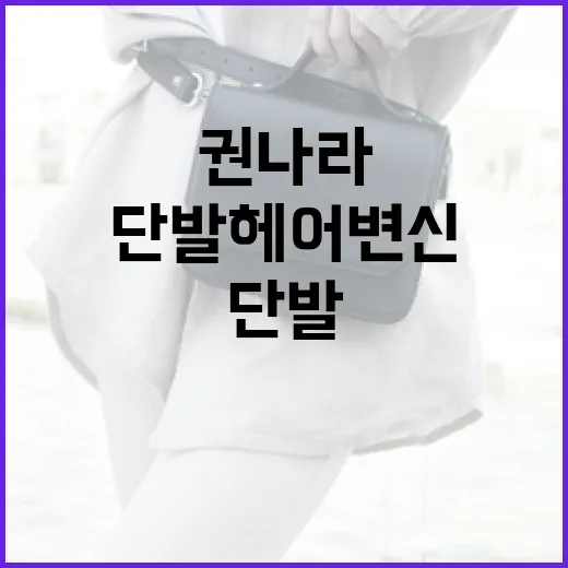 권나라의 단발 헤어 변신을 완벽하게 따라하는 방법