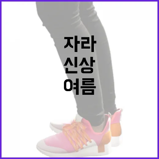 자라 여름 신상 거즈 셔츠, 이렇게 활용해보세요 - 요약