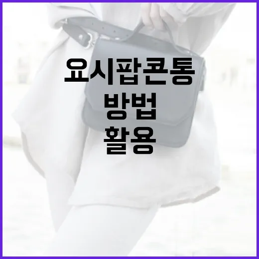 요시 팝콘통을 최대한 활용하는 방법 - 요약