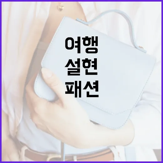 설현처럼 뉴질랜드 여행 패션을 완성하는 방법 - 요약