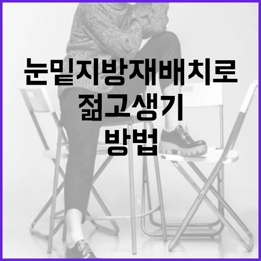 눈밑지방재배치로 젊고 생기 있게 보이는 방법 - 요약