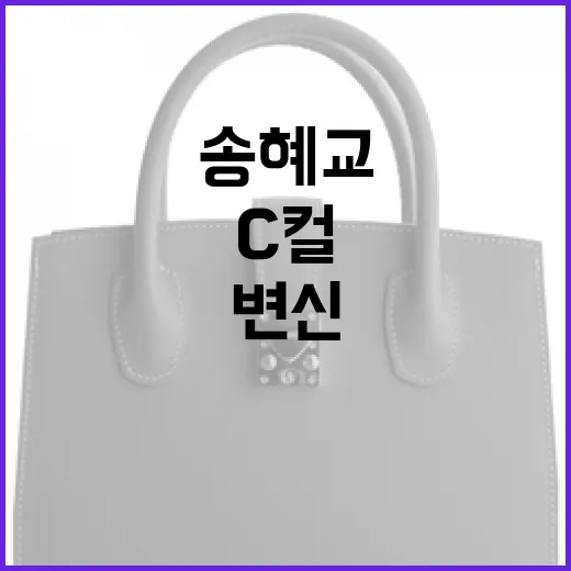송혜교처럼 C컬로 변신하는 방법: 전후 매력 분석 - 요약