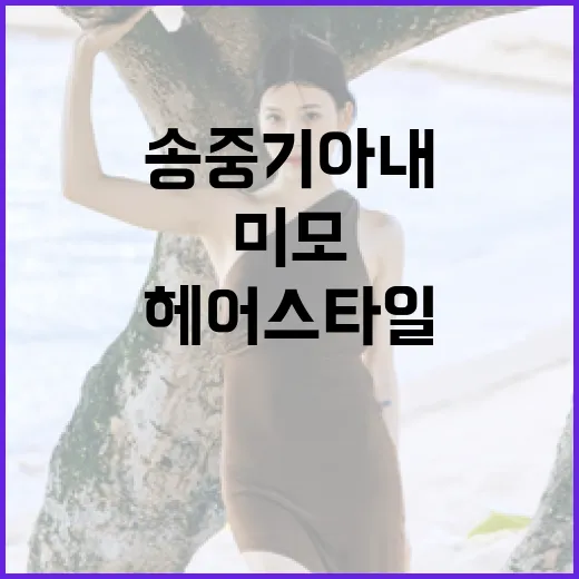 송중기 아내의 미모와 헤어스타일 비결 알아보기 - 요약