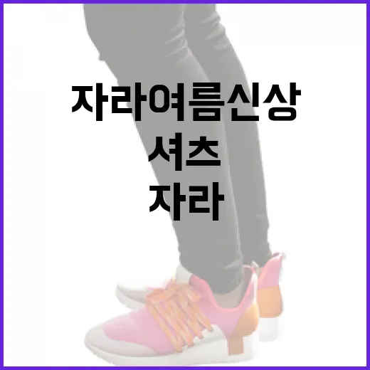 자라 여름 신상 셔츠 스타일링하는 방법 - 요약