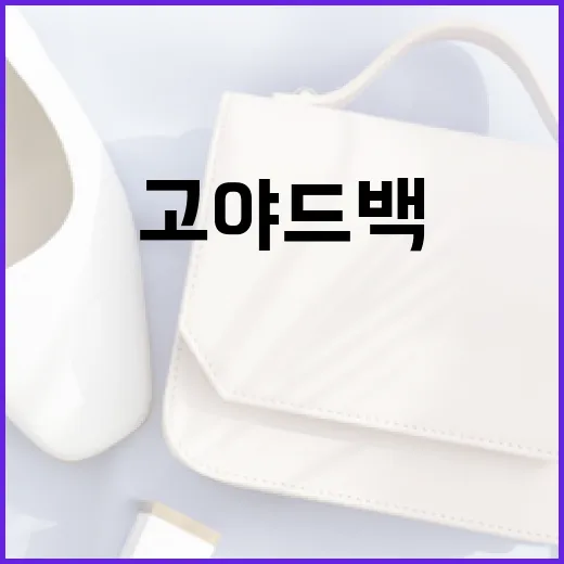 금 투자와 고야드 백 스타일로 당신의 자산을 보호하는 방법 - 요약