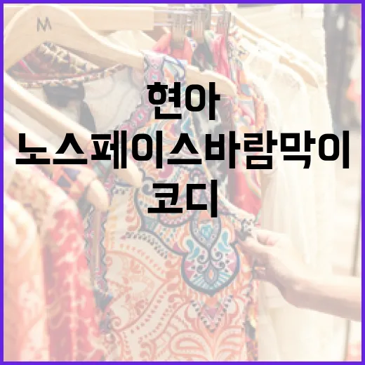 현아처럼 노스페이스 바람막이를 스타일리시하게 코디하는 방법 - 요약