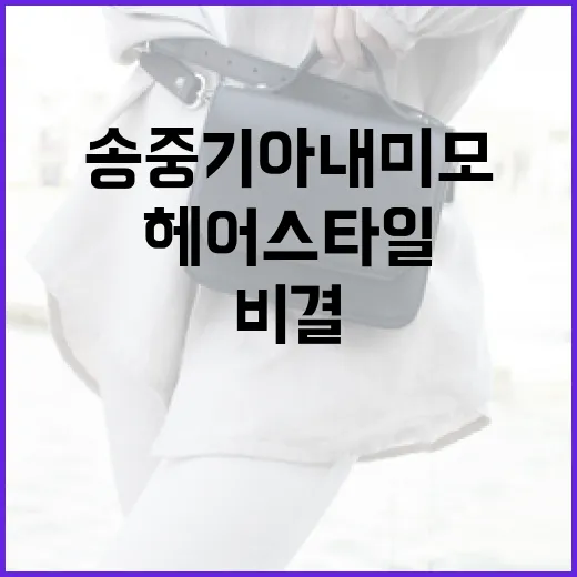 송중기 아내 미모를 돋보이게 하는 헤어스타일 비결 - 요약