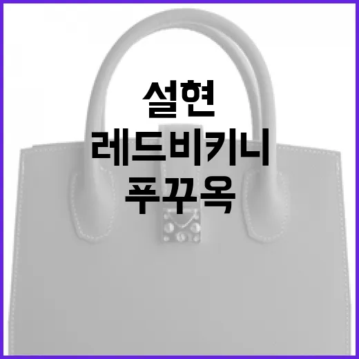 설현처럼 푸꾸옥에서 빛나는 레드 비키니를 입는 방법 - 요약