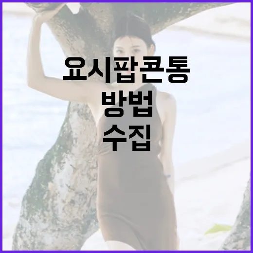 요시 팝콘통을 수집하는 방법 - 요약