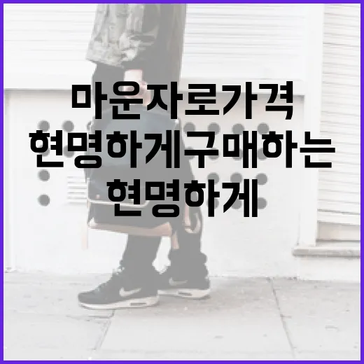 마운자로 가격을 이해하고 현명하게 구매하는 방법 - 요약