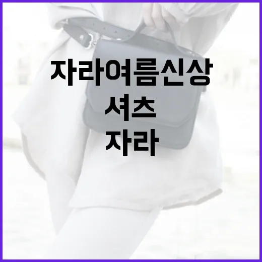 자라 여름 신상 셔츠를 스타일링하는 방법 - 요약