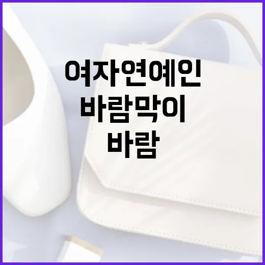 여자 연예인처럼 바람막이를 스타일리시하게 입는 방법 - 요약